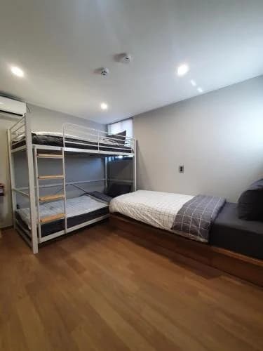 버즈네스트 호스텔 로비