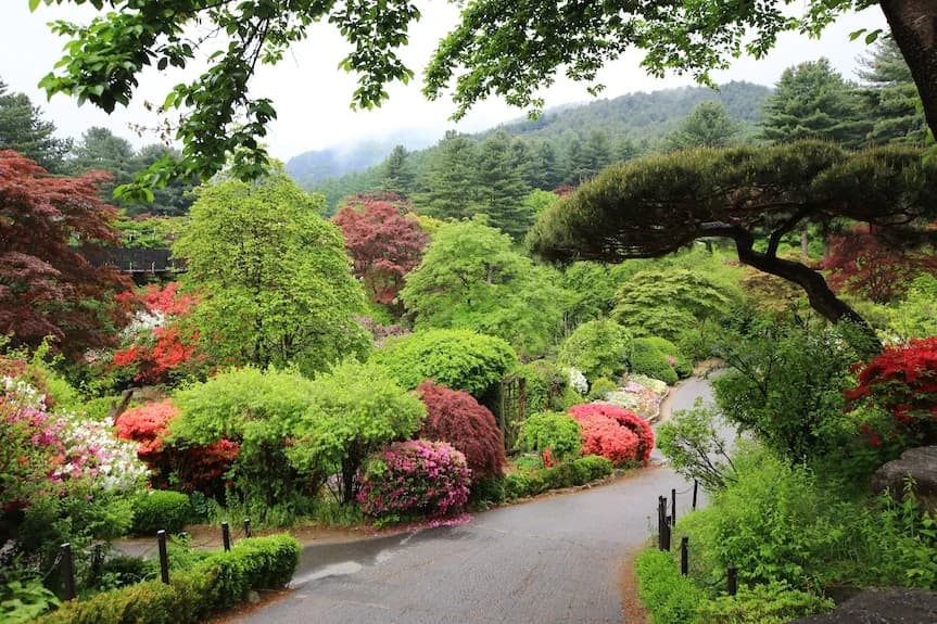 가평 오이코스레저펜션 주변 환경
