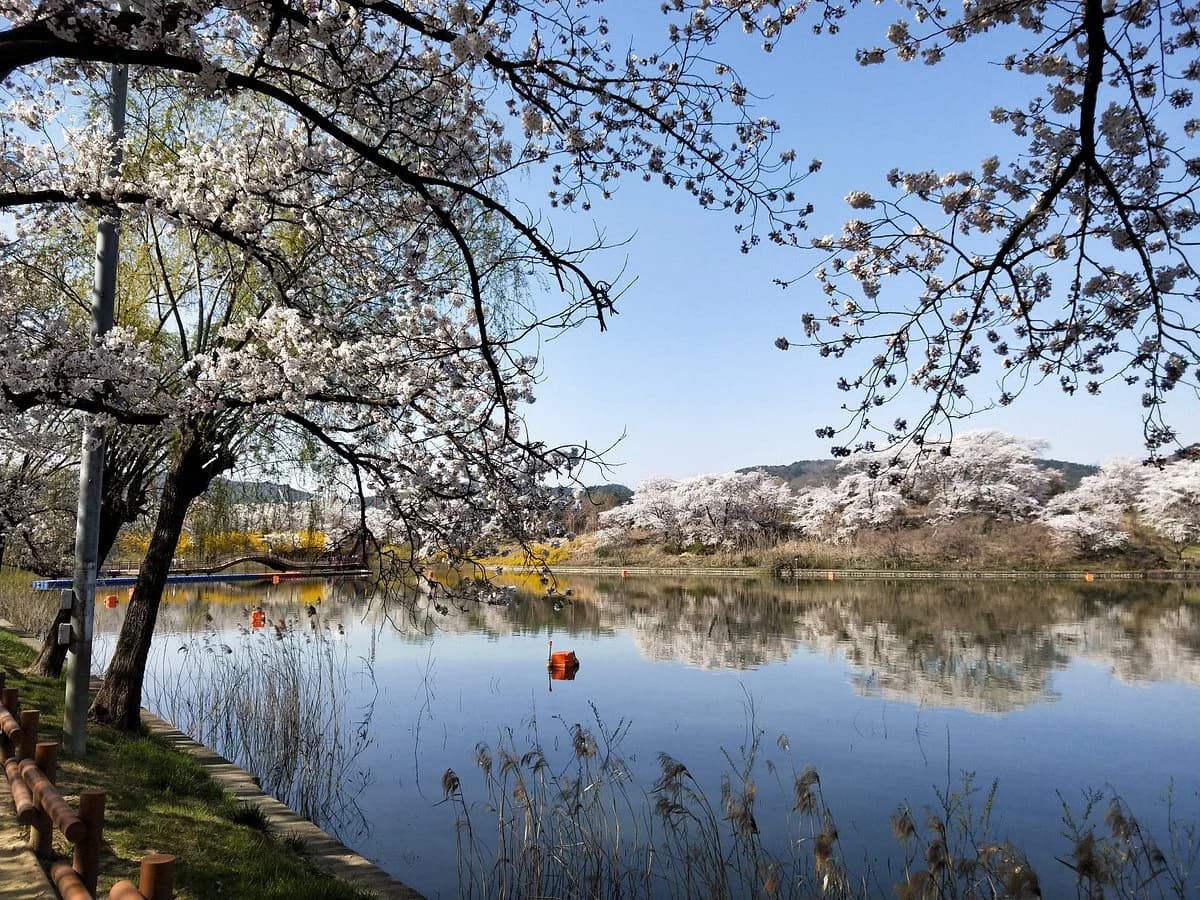 Gyeongju Guesthouse Huewon 로비