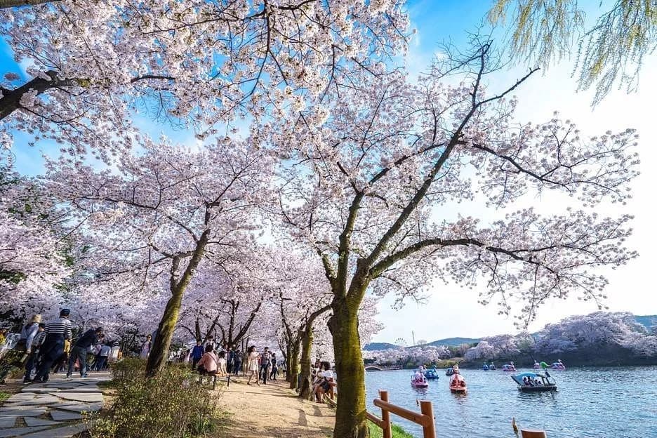 Gyeongju Guesthouse Huewon 편의시설