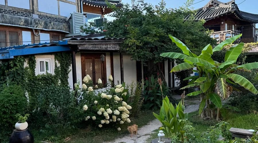 경주 경주 나무 게스트하우스 호텔 외관