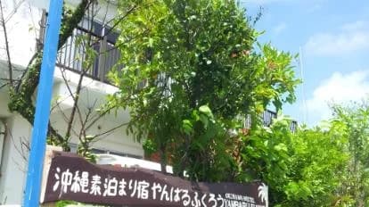 호텔 리조넥스 나고 로비