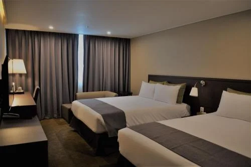 호텔 샬롬 제주 야경