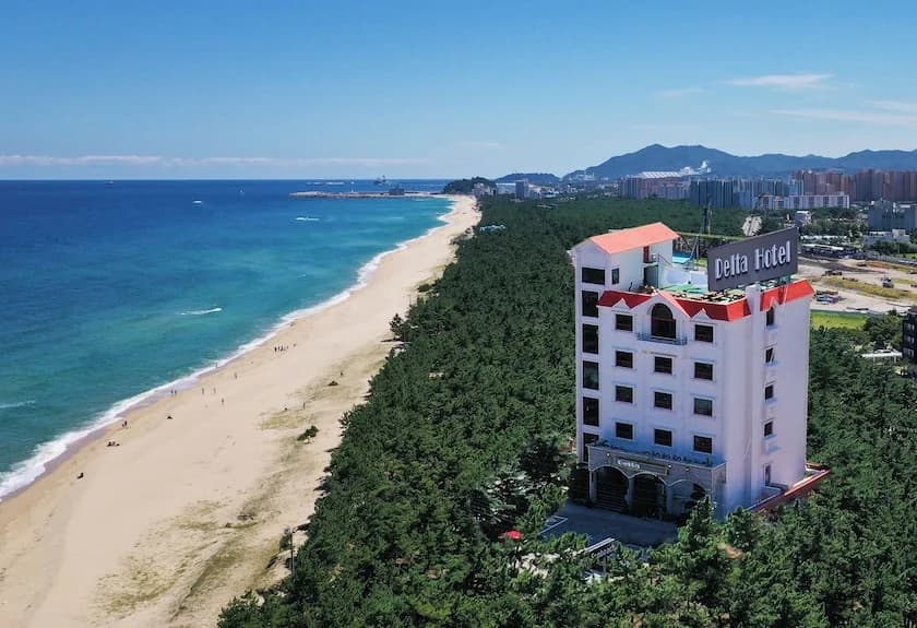 강릉 루이스 호텔 강릉 호텔 외관