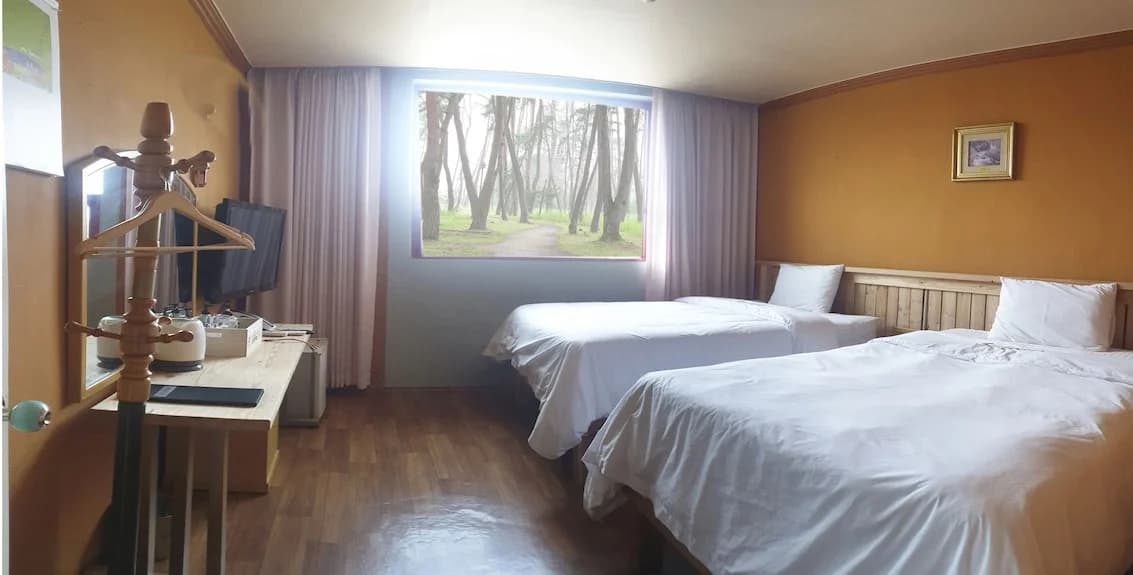 루이스 호텔 강릉 전망