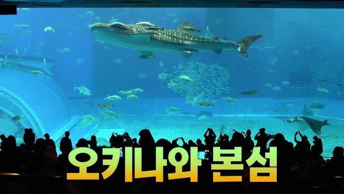 서던 비치 호텔 앤 리조트 오키나와 회의실