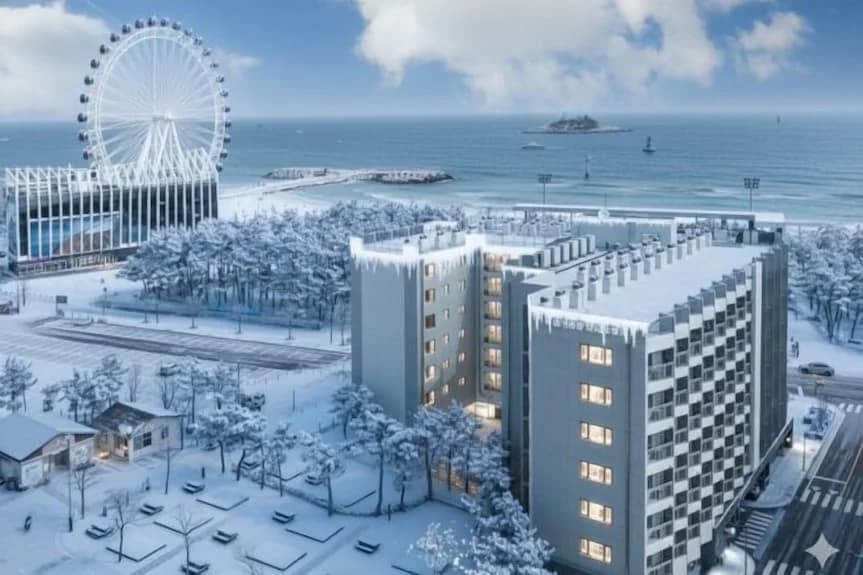 정동진 썬크루즈 전망